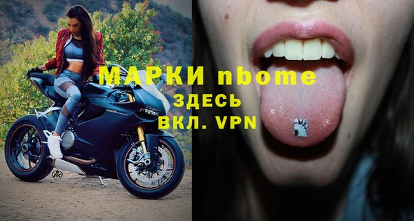 шишки Баксан